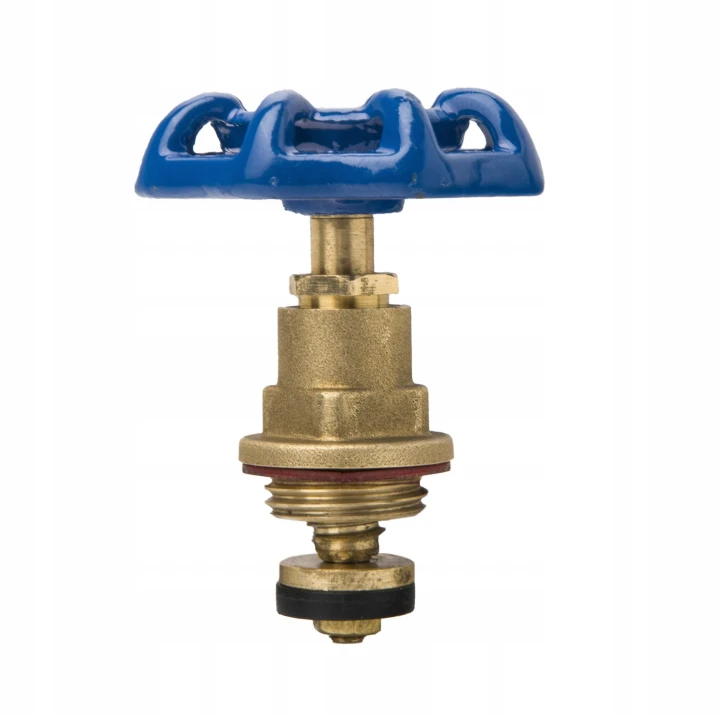 GLOWICA-DO-ZAWORU-ZELIWNEGO-GRZYBKOWEGO-PRZELOTOWEGO-2-CALE-DN50-EAN-GTIN-5907547679070.jpg